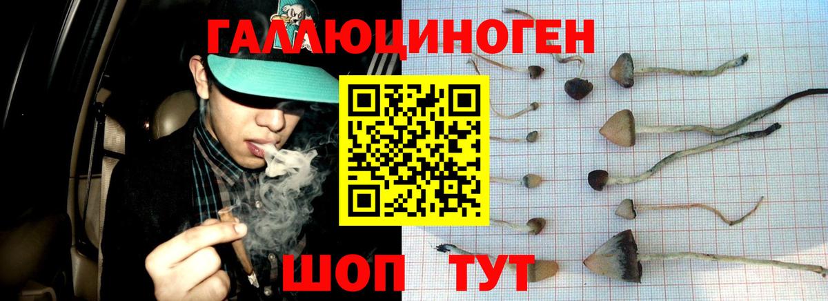 Галлюциногенные грибы MAGIC MUSHROOMS  Галлюциногенные грибы Psilocybe  Вход с VPN  Губкинский 
